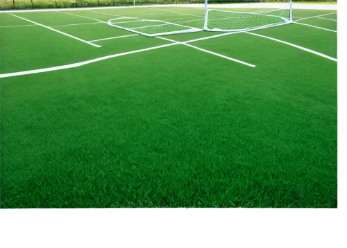 artificial turf,artificial grass,football pitch,turf roof,soccer field,quail grass,football field,athletic field,turf,golf lawn,grass roof,tennis court,soccer-specific stadium,green lawn,patriot roof coating products,playing field,grass golf ball,gable field,wheat germ grass,baseball field,Photography,Black and white photography,Black and White Photography 05
