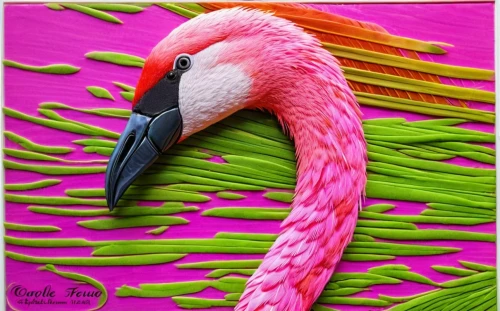 cuba flamingos,pink flamingo,flamingo pattern,flamingo,greater flamingo,lawn flamingo,flamingos,flamingo couple,pink flamingos,two flamingo,tropical bird,pink quill,neon body painting,tropical bird climber,flamingoes,flamingo with shadow,bird painting,colorful birds,body painting,bodypainting,Photography,Fashion Photography,Fashion Photography 16
