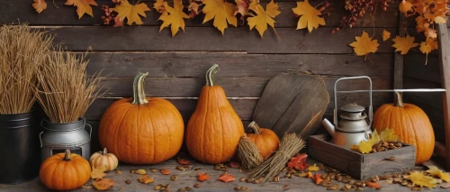 seasonal autumn decoration,autumn decoration,decorative pumpkins,autumn still life,autumn decor,autumn pumpkins,thanksgiving background,autumn background,halloween pumpkin gifts,gourds,fall harvest,autumn theme,pumpkin autumn,ornamental gourds,pumpkins,autumn chores,halloween travel trailer,calabaza,cornucopia,fall picture frame,Illustration,Children,Children 06