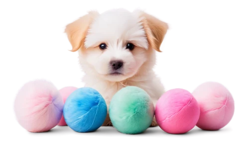 easter dog,colored eggs,easter-colors,happy easter hunt,pet vitamins & supplements,easter rabbits,colorful eggs,easter theme,color dogs,painted eggs,happy easter,easter background,nest easter,easter eggs,felted easter,easter decoration,easter eggs brown,easter bunny,easter décor,easter,Conceptual Art,Sci-Fi,Sci-Fi 20