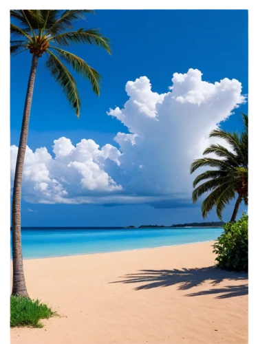 caribbean beach,the caribbean,antilles,barbados,cuba beach,caribbean sea,beach landscape,varadero,tropical beach,dream beach,zanzibar,caribbean,dominican republic,punta-cana,cape verde island,bahamas,coconut palms,beautiful beach,cayo coco,fuerteventura,Illustration,Black and White,Black and White 15