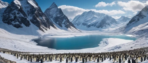 king penguins,emperor penguins,donkey penguins,antartica,king penguin,emperor penguin,antarctic,penguin parade,penguins,antarctica,glacial lake,antarctic flora,heaven lake,marvel of peru,glacial landform,baffin island,changbai mountain,arctic antarctica,snowy mountains,alpine lake,Photography,General,Fantasy