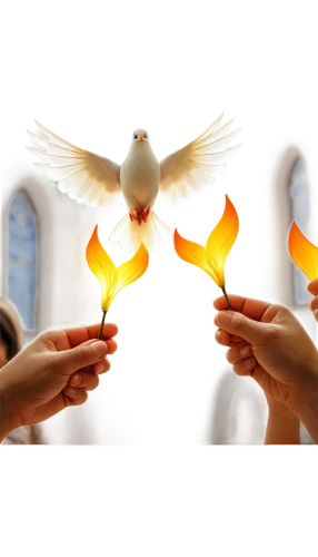 doves of peace,dove of peace,holy spirit,eucharist,pentecost,eucharistic,peace dove,easter vigil,shabbat candles,votive candles,holy communion,doves,the second sunday of advent,the third sunday of advent,offering,the first sunday of advent,divine healing energy,doves and pigeons,carmelite order,communion,Illustration,Realistic Fantasy,Realistic Fantasy 12