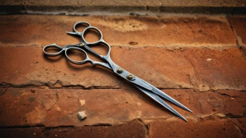 pair of scissors,fabric scissors,shears,scissors,bamboo scissors,needle-nose pliers,pruning shears,surgical instrument,pipe tongs,masonry tool,round-nose pliers,pliers,diagonal pliers,tongue-and-groove pliers,the scalpel,multi-tool,pocket tool,wire stripper,sewing tools,scalpel