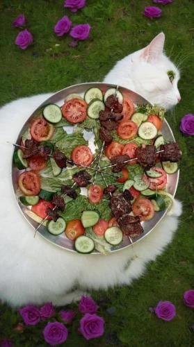 salad platter,salad garnish,salad plate,garden salad,flower cat,carpaccio,novruz,salad,salad of strawberries,caterer,salad bar,tzatziki,cut salad,side salad,spring pancake,jello salad,salads,farmer's salad,vegetable salad,mixed salad