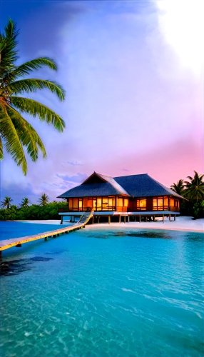 maldive islands,maldives,tropical house,maldives mvr,over water bungalows,tropical island,holiday villa,over water bungalow,seychelles,atoll,french polynesia,dream beach,moorea,tropical beach,seychelles scr,beach resort,fiji,cook islands,floating huts,southern island,Illustration,Japanese style,Japanese Style 21