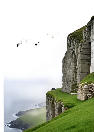 orkney island,faroe islands,flamborough,cliff top,limestone cliff,neist point,cliff coast,cliffs of moher,cliffs of etretat,cliffs,cliff of moher,the cliffs,cliffs ocean,flying sea gulls,cliffs etretat,coastal and oceanic landforms,sceleton coast,moher,white cliffs,isle of may,Illustration,Retro,Retro 21