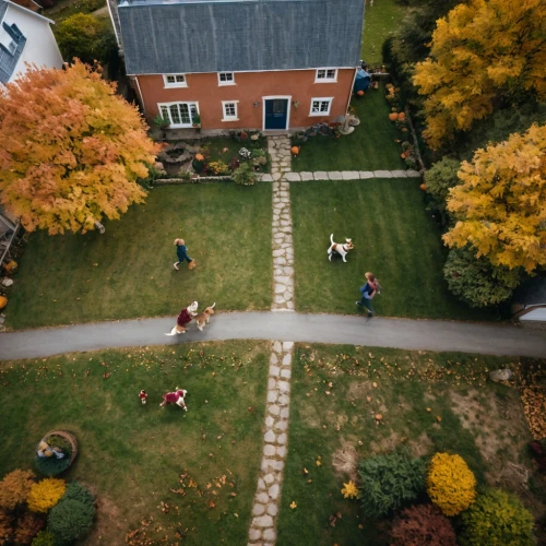 dji spark,drone shot,drone photo,drone view,drone image,overhead shot,view from above,aerial filming,birdseye view,dji mavic drone,christmas circle,bird's eye view,from above,front yard,round autumn frame,autumn chores,mavic 2,bird's-eye view,drone phantom 3,in the fall,Photography,General,Cinematic