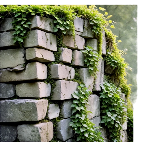 wall,stone wall,cry stone walls,stone fence,rock walls,old wall,brick wall background,climbing garden,stone wall road,limestone wall,stonework,wall stone,landscape designers sydney,stone background,house wall,intensely green hornbeam wallpaper,wall texture,mud wall,clipped hedge,sandstone wall,Illustration,Realistic Fantasy,Realistic Fantasy 32