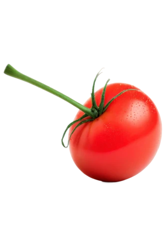 red tomato,tomato,red bell pepper,a tomato,roma tomato,red bell peppers,red pepper,italian sweet pepper,bellpepper,plum tomato,red chili pepper,capsicum,capsicum annuum,pimiento,wall,tomato sauce,bell pepper,solanaceae,spoiled red bell pepper,serrano pepper,Conceptual Art,Daily,Daily 16