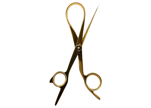 bamboo scissors,shears,pair of scissors,fabric scissors,surgical instrument,needle-nose pliers,diagonal pliers,tongue-and-groove pliers,scissors,pruning shears,slip joint pliers,round-nose pliers,pipe tongs,eyelash curler,headpins,pliers,coping saw,gaspipe pliers,tweezers,traditional bow,Illustration,Paper based,Paper Based 22