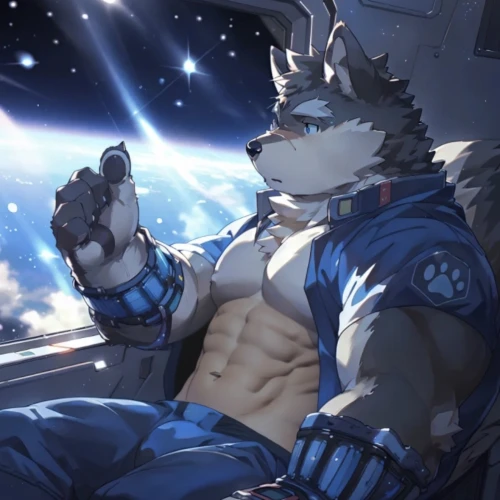 constellation wolf,space tourism,astronomer,north star,refuel,star sky,wolf,jackal,space voyage,cockpit,fighter pilot,space travel,astronaut,space,shasta,pilot,stargazing,take off,rocket,helicopter pilot