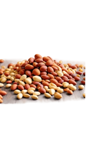 pine nuts,pine nut,almond nuts,kidney beans,fregula,unshelled almonds,soybean oil,soybeans,mung bean,lentils,almond meal,indian almond,pigeon pea,cowpea,seed wheat,legume,java beans,cocoa beans,sprouted wheat,grains,Conceptual Art,Sci-Fi,Sci-Fi 08