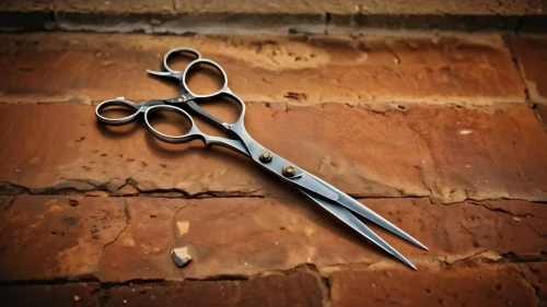 pair of scissors,fabric scissors,shears,scissors,bamboo scissors,pipe tongs,pruning shears,round-nose pliers,needle-nose pliers,surgical instrument,tongue-and-groove pliers,masonry tool,pliers,wire stripper,multi-tool,diagonal pliers,slip joint pliers,the scalpel,alligator clip,pocket tool