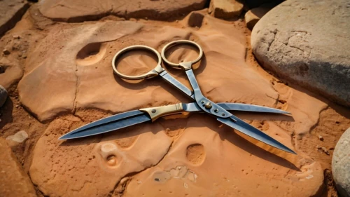 pair of scissors,round-nose pliers,tongue-and-groove pliers,needle-nose pliers,slip joint pliers,lineman's pliers,bamboo scissors,fabric scissors,diagonal pliers,gaspipe pliers,pliers,pruning shears,scissors,multi-tool,water pump pliers,shears,pocket tool,pipe tongs,cutting tools,wire stripper