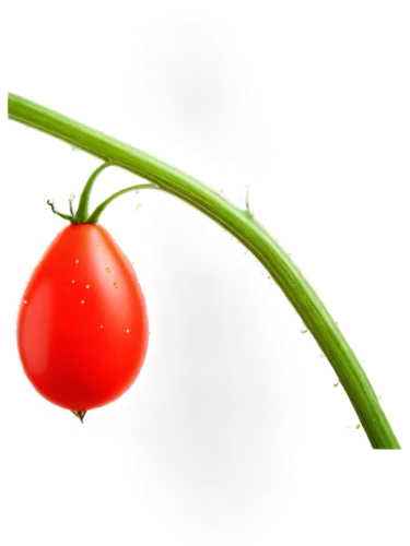 bladder cherry,red bell pepper,red tomato,red bell peppers,radish,red pepper,tomato,red chili pepper,a tomato,plum tomato,fire cherry,serrano pepper,red garlic,rose hip,bellpepper,schisandraceae,rose hip plant,cherry tomatoes,capsicum annuum,rosehip,Art,Classical Oil Painting,Classical Oil Painting 24
