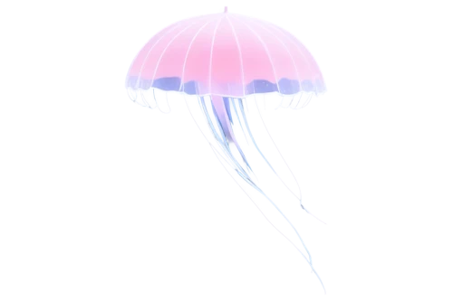 summer umbrella,beach umbrella,parasol,overhead umbrella,jellyfish,parasols,umbrella,brolly,umbrellas,watermelon umbrella,jellies,raindrop,rain lily,box jellyfish,captive balloon,aerial view umbrella,japanese umbrella,parachute,drizzle,rain stoppers,Photography,Documentary Photography,Documentary Photography 37