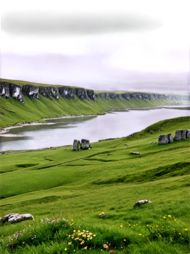 orkney island,faroe islands,shetland,landscape background,cliffs of moher,falkland islands,moher,green landscape,malham cove,icelandic houses,golf course background,isle of may,grasslands,panoramic landscape,eastern iceland,grassland,view panorama landscape,golf landscape,cliffs of moher munster,coastal landscape,Conceptual Art,Daily,Daily 11