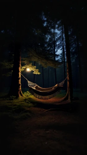 hammock,hammocks,empty swing,long exposure light,wooden swing,lightpainting,light painting,wooden bench,night photography,long exposure,swing set,camping chair,dark park,tree swing,tree with swing,hanging chair,canopy bed,night photograph,forest dark,drawing with light