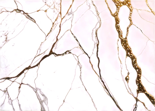 marble,birch tree illustration,birch tree background,neurons,plant veins,marbled,abstract gold embossed,braided river,watercolour texture,watercolor texture,axons,layer nougat,leaf veins,pink and gold foil paper,watercolor paint strokes,ordinary robinia,lilac branches,blossom gold foil,gold-pink earthy colors,wall plaster,Conceptual Art,Daily,Daily 13