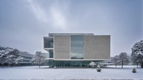 glass facade,house hevelius,university library,biotechnology research institute,snowhotel,winter house,performing arts center,new building,christ chapel,archidaily,research institute,snow house,northeastern,business school,snow scene,kirrarchitecture,snow shelter,frosted glass pane,snow roof,chancellery,Photography,General,Realistic