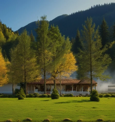 country hotel,bucovina romania,fall landscape,bucovina,south tyrol,home landscape,country house,country estate,east tyrol,salt meadow landscape,autumn idyll,british columbia,house with lake,seasonal autumn decoration,termales balneario santa rosa,eco hotel,evergreen trees,house in the mountains,chalet,country club,Photography,General,Realistic