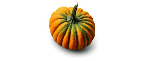 calabaza,cucurbita,cucuzza squash,papaya,gem squash,decorative squashes,muskmelon,scarlet gourd,winter squash,figleaf gourd,hokkaido pumpkin,cucurbit,pointed gourd,gourd,bitter gourd,squash,cucumis,gourds,ornamental gourds,striped pumpkins,Conceptual Art,Daily,Daily 34