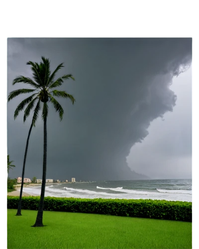 kerala,tropical cyclone,sri lanka,srilanka,coconut palms,monsoon,liberia,stormy,shelf cloud,tropical cyclone catarina,storm,kerala porotta,florida,seminyak,ponte vedra beach,palmbeach,san storm,hurricane irma,palmetto coasts,seminyak beach,Illustration,Realistic Fantasy,Realistic Fantasy 03