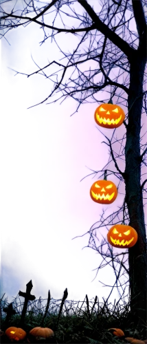 halloween background,halloween silhouettes,halloween wallpaper,halloween scene,halloween ghosts,halloween bare trees,jack-o-lanterns,jack-o'-lanterns,halloweenkuerbis,halloween pumpkins,retro halloween,pumpkins,halloween frame,decorative pumpkins,halloween poster,halloween banner,autumn pumpkins,pumpkin lantern,pumkins,hallowe'en,Conceptual Art,Sci-Fi,Sci-Fi 14