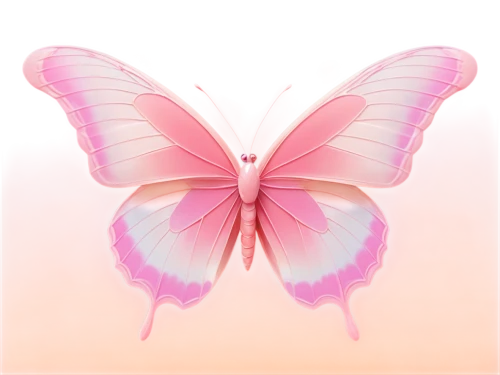 pink butterfly,butterfly vector,butterfly background,butterfly clip art,cupido (butterfly),limenitis,hesperia (butterfly),flutter,pink vector,butterflay,breast cancer ribbon,butterfly,papillon,butterfly isolated,pink background,c butterfly,vanessa (butterfly),pink floral background,isolated butterfly,pink ribbon,Illustration,Japanese style,Japanese Style 02