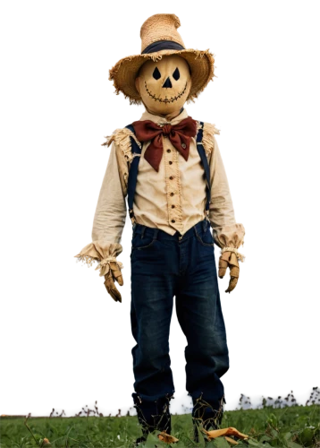 scarecrow,scarecrows,pubg mascot,straw man,farmer,farmer in the woods,the mascot,mascot,miguel of coco,cowboy beans,farmworker,aggriculture,straw doll,anthropomorphic,gopher,hill billy,cowboy,scandia bear,model train figure,straw field,Illustration,Retro,Retro 18