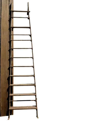 rope-ladder,career ladder,rope ladder,ladder,jacob's ladder,rescue ladder,clotheshorse,turntable ladder,steel stairs,heavenly ladder,chiavari chair,fire ladder,guitar easel,easel,steel scaffolding,garment racks,parallel bars,step stool,wooden stair railing,climbing frame,Photography,Black and white photography,Black and White Photography 14