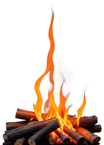 fire wood,wood fire,burned firewood,log fire,firewood,pile of firewood,calçot,bonfire,fire background,barbecue torches,matchstick,fire in fireplace,firepit,fireplaces,yule log,campfire,cinnamon sticks,fire logo,fire place,easter fire,Illustration,Retro,Retro 16