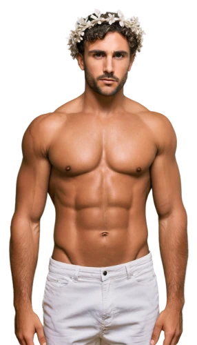 bodybuilding supplement,body building,bodybuilder,body-building,jesus figure,bodybuilding,anabolic,male model,christian,holyman,strongman,masculine,greek god,masseur,fitness model,png transparent,christ feast,adonis,crazy bulk,flower crown of christ,Illustration,Retro,Retro 02