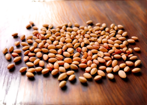 pigeon pea,cowpea,mung bean,fregula,pine nut,soybean,chickpea,legume,pine nuts,mung beans,soybeans,lentils,java beans,soybean oil,seeds,fenugreek,chana masala,coffee grains,common bean,coriander,Art,Artistic Painting,Artistic Painting 38