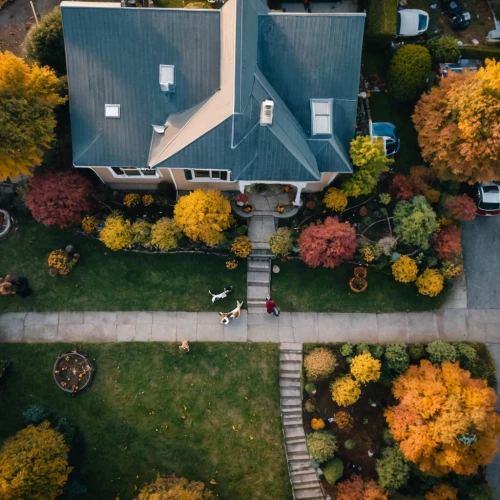 drone shot,front yard,drone image,drone view,drone photo,view from above,from above,autumn chores,overhead shot,suburban,driveway,fall colors,roof landscape,fall landscape,backyard,fall foliage,in the fall,bird's eye view,birdseye view,neighbors,Photography,General,Cinematic