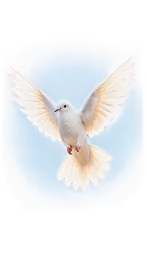 dove of peace,doves of peace,peace dove,white dove,fairy tern,dove,holy spirit,bird png,flying tern,collared dove,turtledove,arctic tern,tern,doves,royal tern,forster s tern,tern bird,beautiful dove,black-winged kite,tern flying,Conceptual Art,Sci-Fi,Sci-Fi 21