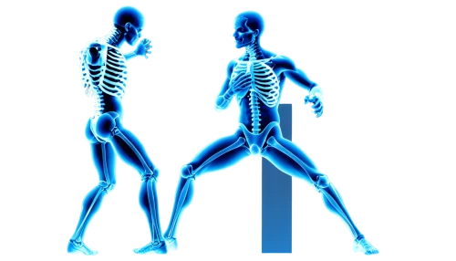 skeletal,skeletal structure,biomechanically,skeletons,chiropractic,human skeleton,x-ray,the human body,artificial joint,physiotherapy,foot reflex zones,kinesiology,medical radiography,skeleton,human body,human body anatomy,physiotherapist,human anatomy,danse macabre,calcium,Conceptual Art,Fantasy,Fantasy 26