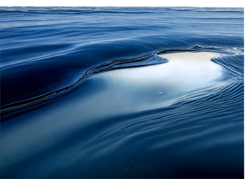 ripples,water surface,reflection of the surface of the water,surface tension,water waves,ripple,oil in water,waves circles,blue water,on the water surface,bluebottle,seawater,deep blue,waterscape,capelin,seabed,water glace,whirlpool,reflections in water,whirlpool pattern,Conceptual Art,Fantasy,Fantasy 29