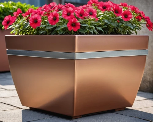 terracotta flower pot,flower box,wooden flower pot,flower pot,planter,flowerpot,corten steel,flower boxes,metal container,garden pot,funeral urns,golden pot,plant pot,waste container,flower pots,copper vase,copper cookware,flower pot holder,outdoor furniture,metal cabinet,Photography,General,Realistic