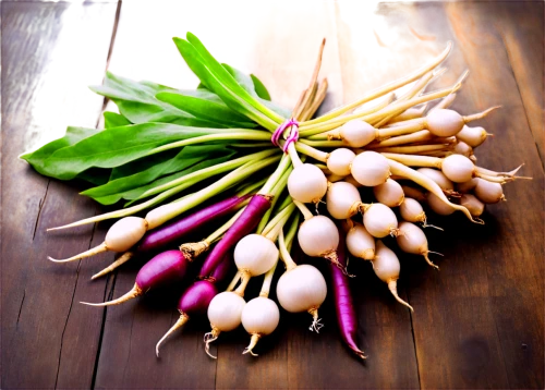 colorful vegetables,calçot,root vegetables,vigna radiata,root vegetable,onion bulbs,eggplants,snack vegetables,radish,garlic bulbs,legume,thai herbs,allium siculum,turnips,legume family,fresh vegetables,root crop,market vegetables,thai ingredient,vigna subterranea,Illustration,Realistic Fantasy,Realistic Fantasy 09