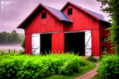 red barn,field barn,old barn,barn,farm background,farm hut,houses clipart,quilt barn,barns,red roof,garden shed,farm house,danish house,sheds,home landscape,farmstead,shed,wooden hut,wooden house,farm landscape,Photography,Documentary Photography,Documentary Photography 14
