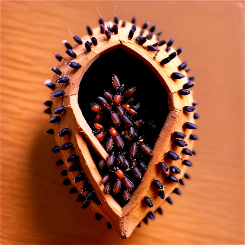 wood heart,wooden heart,coffee seeds,dried cloves,cloves,stitched heart,sichuan pepper,clove root,straw hearts,clove pepper,clove-clove,star anise,seeds,chocolate-covered coffee bean,coffee beans,peppercorns,roasted coffee beans,rose hip seeds,clove scented,coffee bean,Conceptual Art,Daily,Daily 19