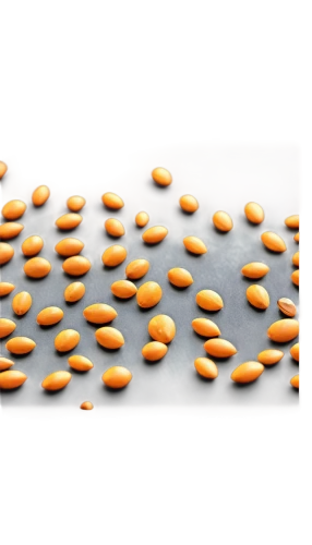candy corn pattern,kernels,wafers,hippophae,unshelled almonds,almonds,mustard seeds,isolated product image,pine nuts,wafer,multiseed,lentils,candy corn,soybean oil,apricot kernel,grains,mustard seed,adhesive electrodes,dried apricots,wafer cookies,Illustration,Realistic Fantasy,Realistic Fantasy 08