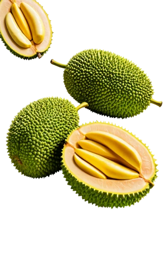 durian seed,kaki fruit,durian,salak,kiwi lemons,kiwi fruit,kiwifruit,avacado,jackfruit,pitahaya,mangifera,accessory fruit,kiwi halves,cocos nucifera,pitahaja,soursop,areca nut,kiwi,tropical fruits,schisandraceae,Unique,Design,Infographics