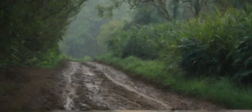 dirt road,country road,the road,flooded pathway,slippery road,uneven road,digital painting,rainy season,trail,road,mountain road,forest road,bad road,rain field,walking in the rain,sand road,road forgotten,singletrack,heavy rain,world digital painting,Photography,General,Cinematic