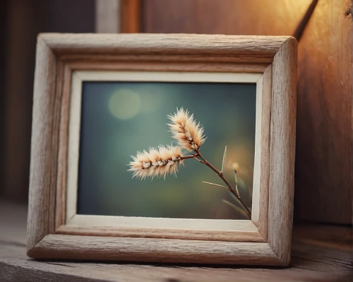 flowers frame,floral silhouette frame,botanical frame,floral and bird frame,dandelion background,clover frame,flower frame,frame flora,peony frame,floral frame,flower frames,dandelion flower,botanical square frame,photo frame,decorative frame,wooden frame,blank photo frames,photo frames,digital photo frame,common dandelion,Conceptual Art,Fantasy,Fantasy 08