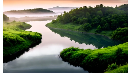 river landscape,green trees with water,a river,green landscape,landscape background,japan landscape,beautiful landscape,aura river,mountain river,green water,nature landscape,aaa,snake river,background view nature,river view,landscape nature,natural landscape,calm water,waterscape,freshwater,Illustration,Vector,Vector 05