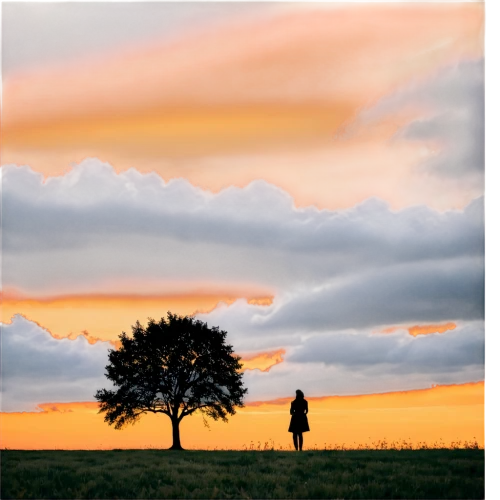 lone tree,woman silhouette,silhouette of man,silhouette against the sky,tree silhouette,isolated tree,man silhouette,vintage couple silhouette,girl with tree,landscape photography,landscape background,old tree silhouette,nature and man,couple silhouette,to be alone,silhouette,women silhouettes,nature photographer,art silhouette,woman walking,Photography,Documentary Photography,Documentary Photography 09