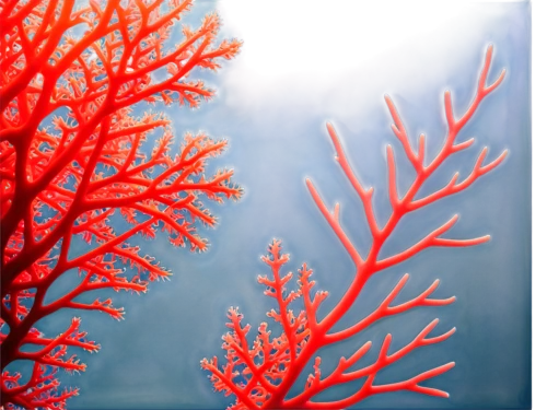 soft coral,deep coral,feather coral,bubblegum coral,soft corals,corals,meadow coral,qin leaf coral,stony coral,coral,hard corals,coral fingers,coral-like,red crinoid,red tree,coral reefs,rock coral,coral fish,desert coral,coral bush,Art,Artistic Painting,Artistic Painting 34